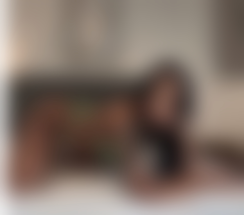 Escorts Merseyside Saint Helens - Photos for 🆕🇧🇷JASMINE IN YOUR TOWN💯🇧🇷